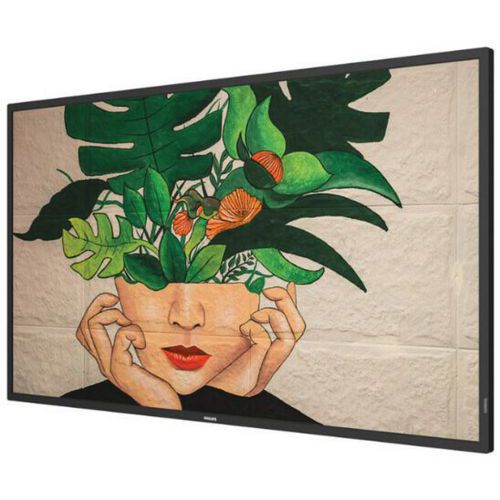 Afficheur Professionnel - Moniteur 43 - 247