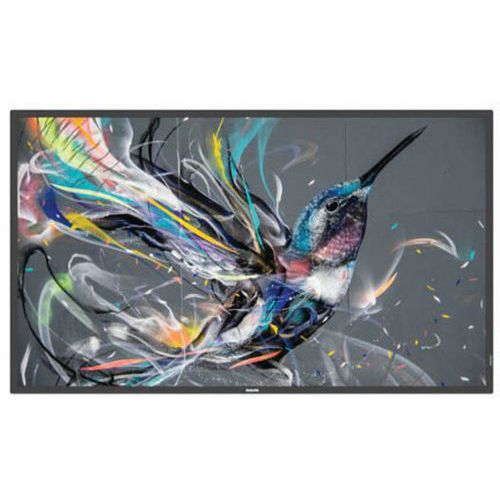 Ecran Affichage Dynamique - Moniteur 55 - 187