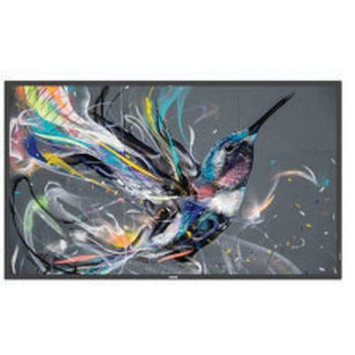 Ecran Affichage Dynamique - Moniteur 65 - 187