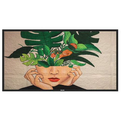 Afficheur Professionnel - Moniteur 65 - 247