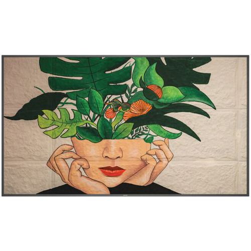 Afficheur Professionnel - Moniteur 75 - 247