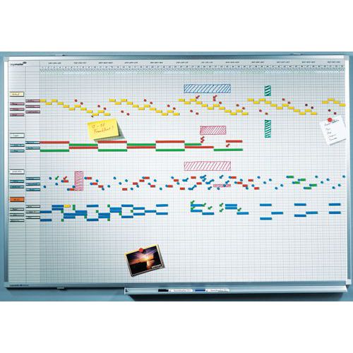 Professional Planning Annuel 12 Mois 75x150cm Ã‰mail