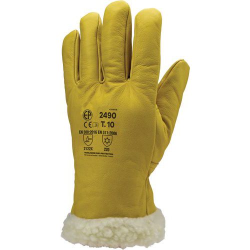 Coverguard - Gants Eurowinter Islande Cuir - Taille 11 - 32 cm - Protection Froid EPI
