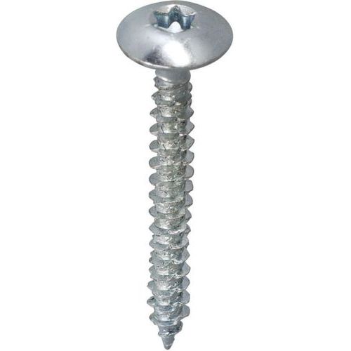 Norail - Vis penture Torx Acier Zingué Blanc 6x40 mm - 250 pièces - Usage intérieur/extérieur