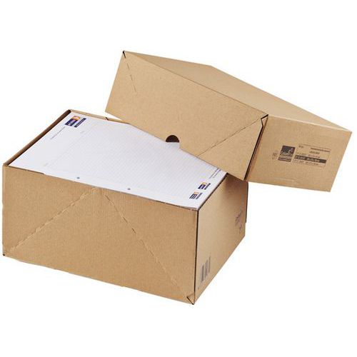 Boîte cloche carton format A4 - L31xl21,7xh5,7 cm - Idéale pour documents