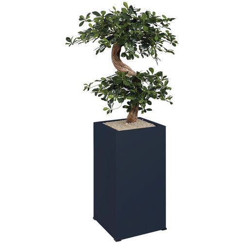 Bac carré Bonzaï sur roulettes gris - Décoration intérieure - 38x38x159 cm - Design moderne et pratique