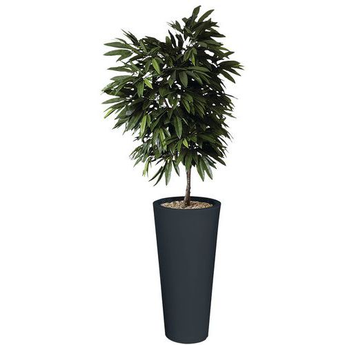 Bac Rond Manguier Hauteur 85 Cm Anthracite