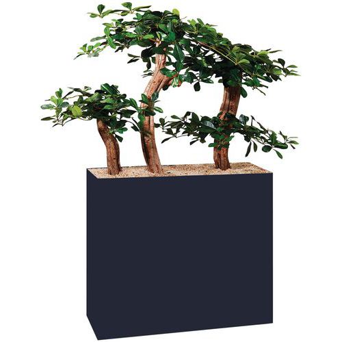 Jardinière Métal Sur Roulettes Hauteur 74 Cm Bonzaï Gris