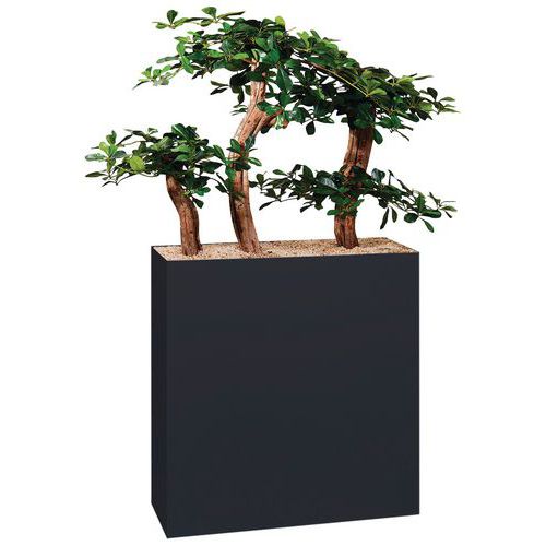 Jardinière Métal Sur Roulettes Hauteur 90 Cm Bonzaï Noir