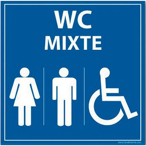 Panneau Wc Mixte Femme Homme Pmr Pvc 125x125mm