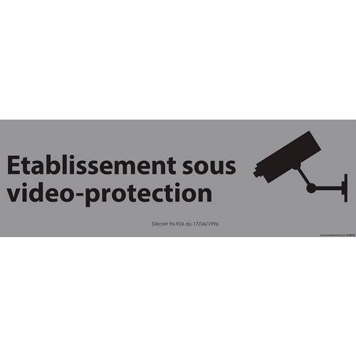 Signalisation Établissement En Vidéo-protection Vinyle Gris
