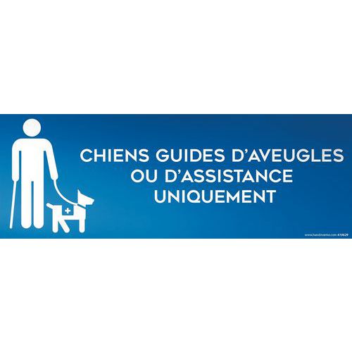 Panneau Chiens Guides Uniquement Modèle 4 Pvc 210x75mm