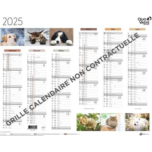 Calendrier Animaux Fantaisie - 43x335 Cm