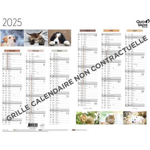 Calendrier Animaux Fantaisie - 27x21 Cm