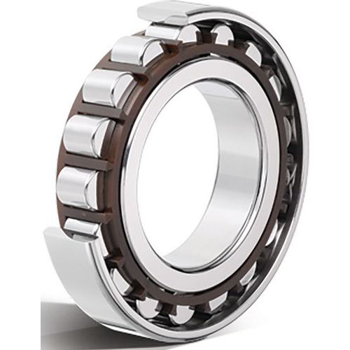 Roulement à Rouleaux Cylindriques -nu310