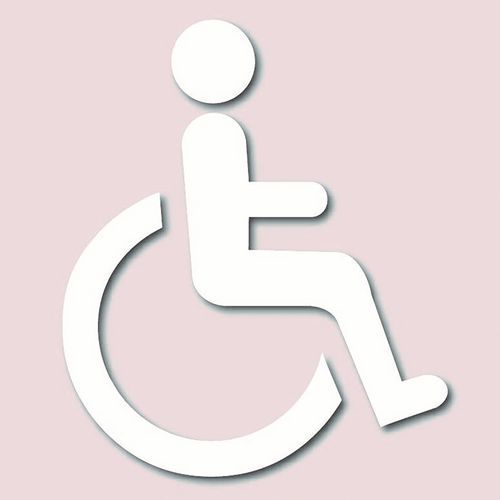 Pochoir adhésif PMR 600x500mm - Signalisation Accessibilité Handicapée - Facile à Poser