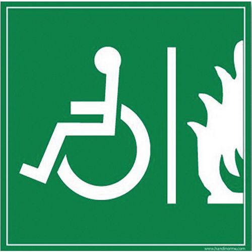 Signalétique Handicapé Espace Sécurisé Pvc 125x125mm