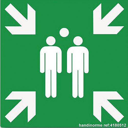 Panneau Point De Rassemblement Pvc 250x250mm