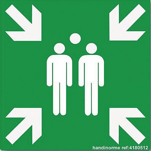 Panneau Point De Rassemblement Vinyle 125x125mm