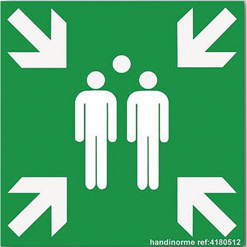 Panneau Point De Rassemblement Vinyle 250x250mm