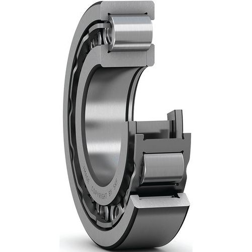 Roulements à Rouleaux Cylindriques à Une Rangée