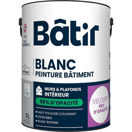 Peinture Murs Et Plafonds 98% Opacité Velour 5 L Blanc