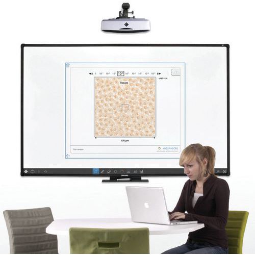 tableau blanc numérique