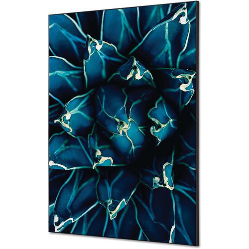 Showdown Displays - Cadre Décoratif Cactus Tissu Bleu 59,4x84,1cm - 1,96kg - Décoration Murale Élégante