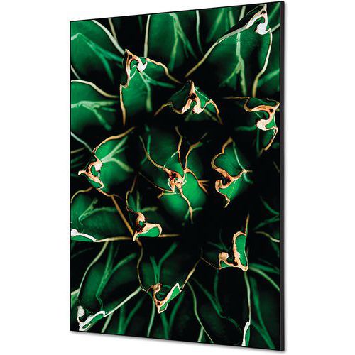 Showdown Displays - Cadre décoratif Cactus Tissu - 59,4x84,1cm Vert - Décoration Murale Éco-responsable
