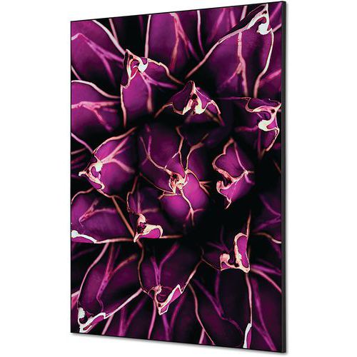 Showdown Displays - Cadre décoratif tissu Cactus - 59,4x84,1cm Violet - Décoration murale tendance