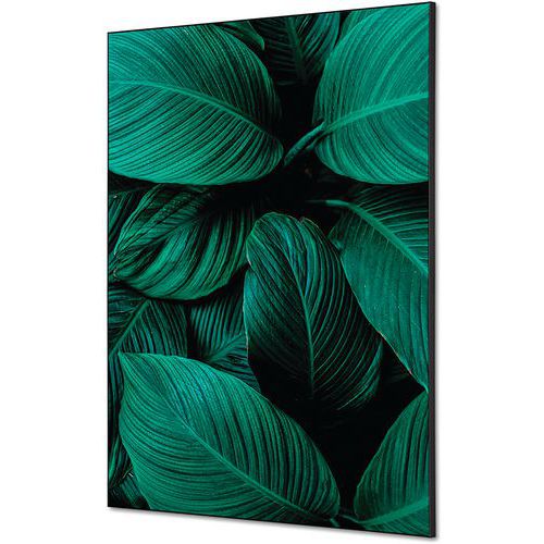 Showdown Displays - Cadre décoratif Feuillage - 59,4x84,1cm - Vert - Tissu Écologique