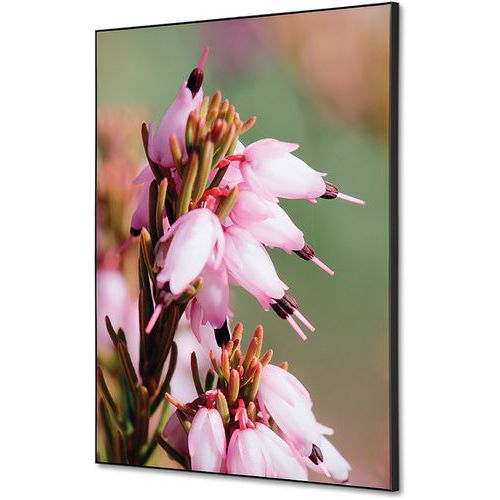 Showdown Displays - Cadre décoratif tissu Fleur De Bruyere Rose - 42x59,4cm - Décoration murale élégante