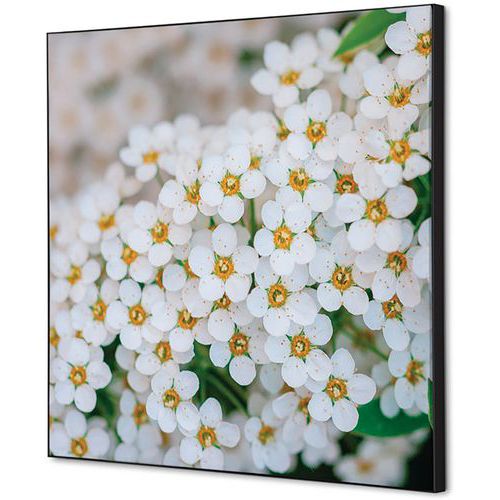 Showdown Displays - Cadre Décoratif Tissu Perce-neige - 40x40cm - Décoration Murale Élégante