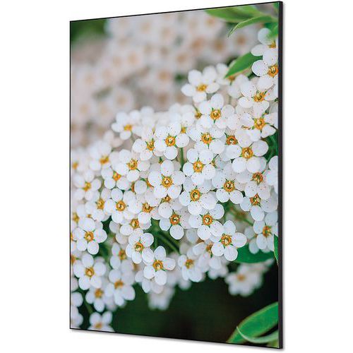 Showdown Displays - Cadre décoratif tissu Perce-neige - 59,4x84,1cm - 1,96kg - Décoration murale élégante