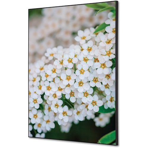 Showdown Displays - Cadre décoratif tissu Perce-neige 42x59,4cm - Décoration murale élégante