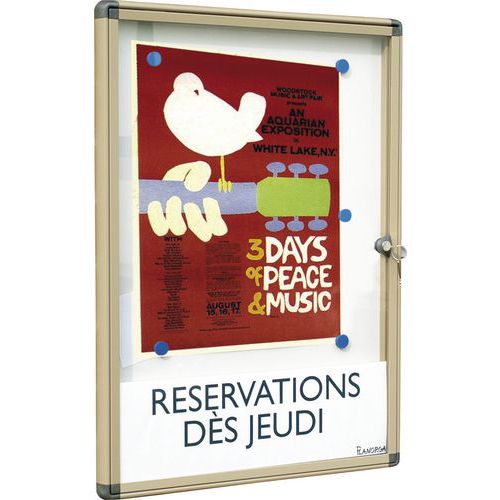 Planorga - Vitrine Murale Alcor Extérieur - Fond Acier 35x47cm Gris - Affichage Sécurisé 10 Ans Garantie