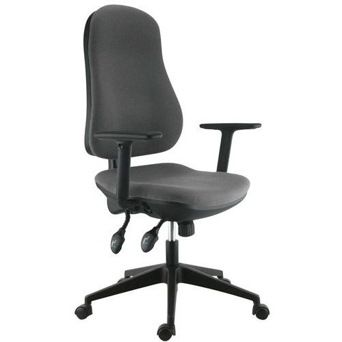 Sokoa - Fauteuil de bureau Frezio - Mécanisme asynchrone, Accoudoirs réglables, Gris - Confort 8h, Charge 110kg
