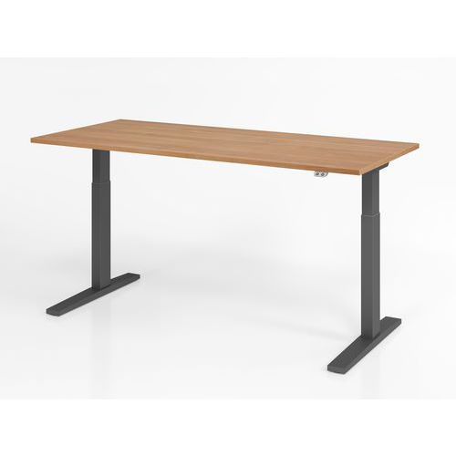 Hammerbacher - Bureau assis-debout XMKA 180x80cm Noyer/Anthracite - Hauteur réglable 70-120cm - Ergonomique et Éco-responsable