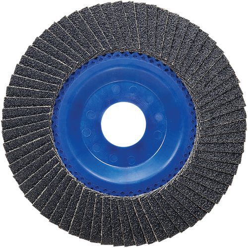 Bosch 10 Plateau à Lamelles X551 Pour Métaux Diamètre 125 Mm, Grain 60, Droit