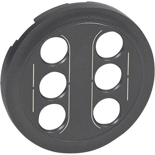 Enjoliveur Pour Double Prises Rca Finition Graphite