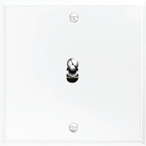 Interrupteur À Levier Cristal De Tension 250 V En Inox