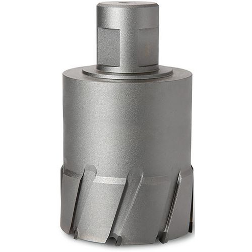 Fraise Hm Ultra 100 Avec Emmanchement Weldon 32