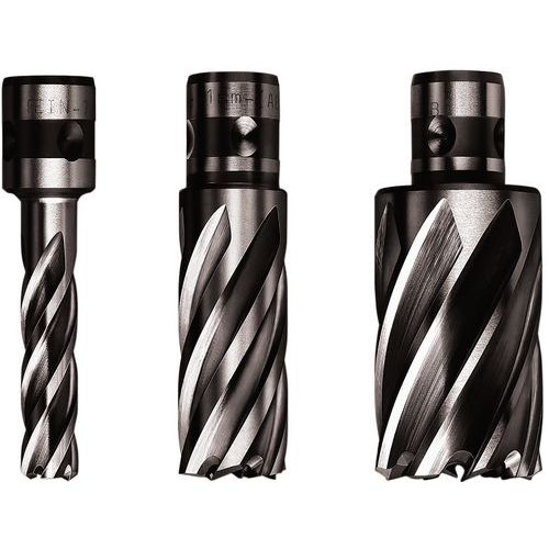 Fraise Hss Nova 50 Emmanchement Quickin