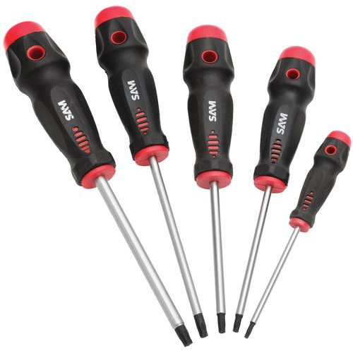 Tournevis TA empreinte Torx Tournevis TA empreinte Torx