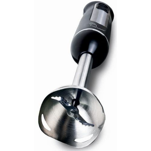 Mixeur Plongeant En Inox - Capacité 600w