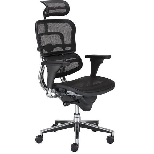 Siège De Bureau Ergonomique Ergohuman Noir