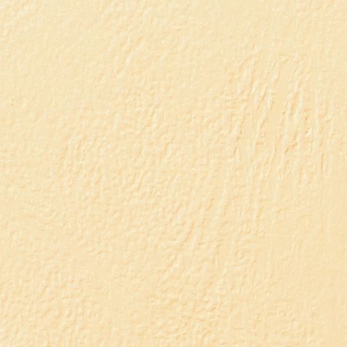 Plats De Couverture Gbc Grain Cuir Leathergrain