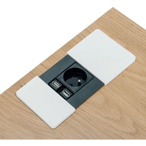 Obturateur D'alimentation 1 Prise 220v + 2 Usb Blanc