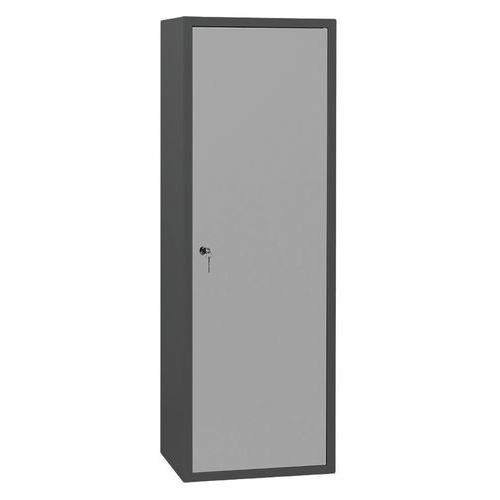 Armoire Penderie L600 Anthracite Portes Gris Clair 7035 - 1 Porte, 2 Compartiments, Acier, Livrée Montée, Garantie 7 Ans