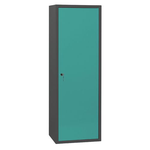 Armoire Ménage L600 Corps Anthracite Portes Vert Amande 6027